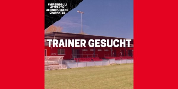 Trainer und Assistenten für unsere B Junior League