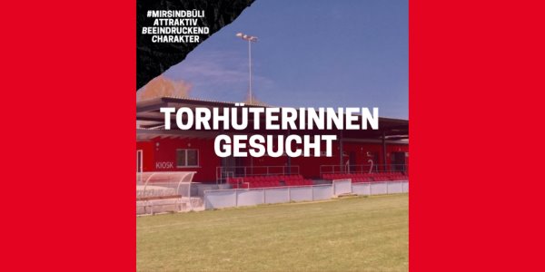 Wir suchen Torhüterinnen 