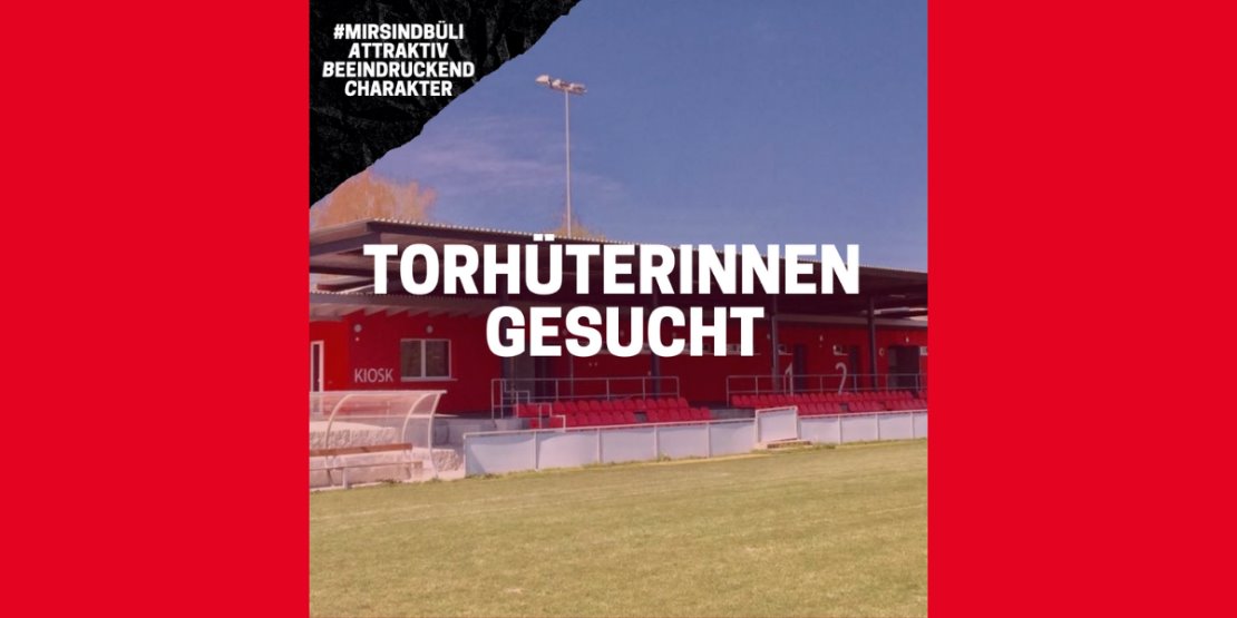 Wir suchen Torhüterinnen